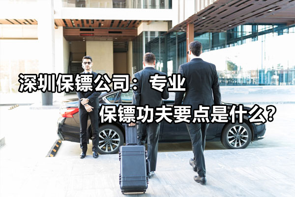 深圳保镖公司：专业保镖功夫要点是什么？