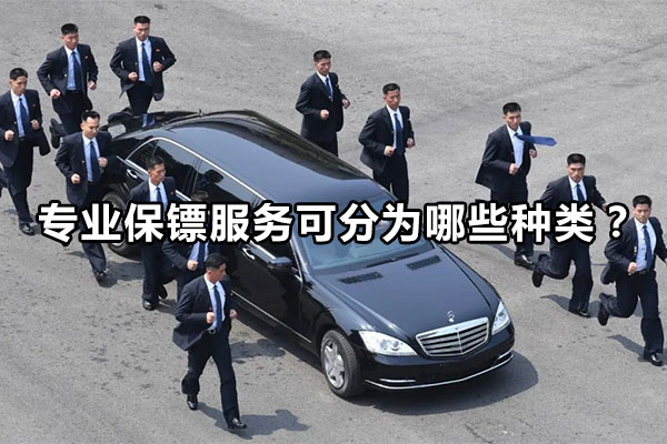 专业保镖服务可分为哪些种类？